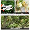 Horticultural Scissors Bird Beak Sharp Professional Pruning Branch Labor Saving Stainless Steel Multifunctional Picking Fruit