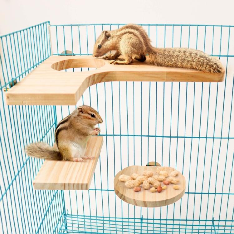 Hamster Platform For Cage Hamster Playground  Hamster Wooden Platform And Stairs