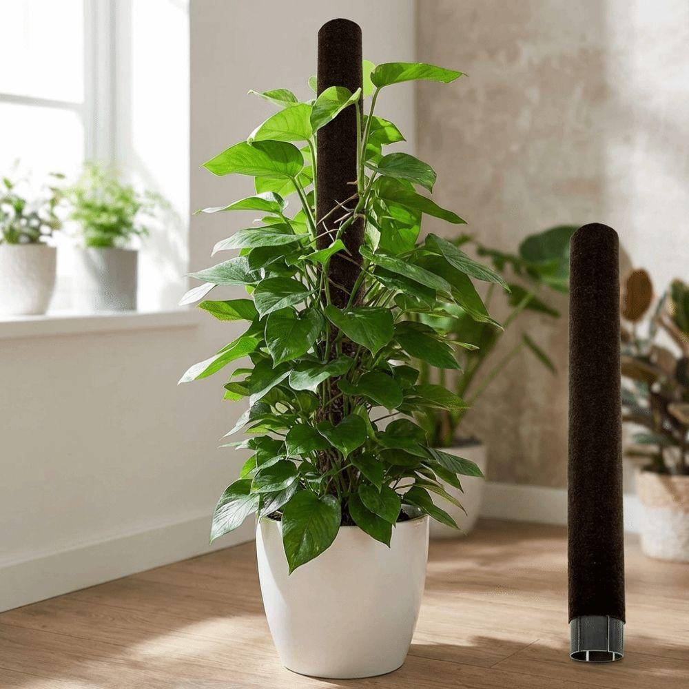 With Cover Plant Support Bracket Plastic Flower Pots Stand Climbing Plant Stand  Indoor Plant Use