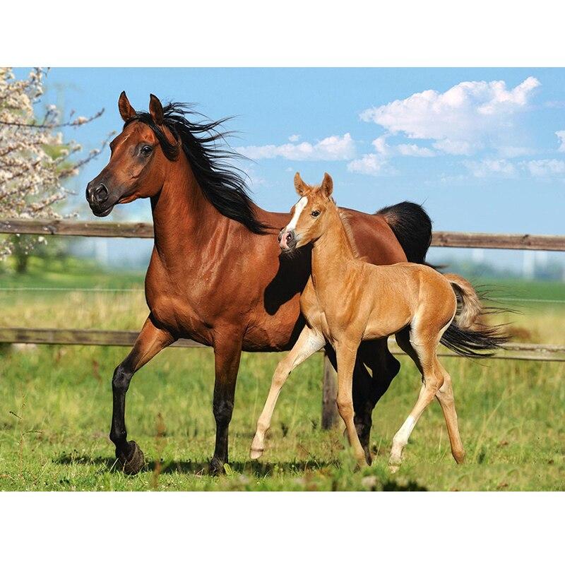 5D Diy Pferd Diamant Malerei Kreuzstich Volle Runde Diamant Stickerei Tiere Mosaik Strass Kits Wand Kunst Wohnkultur