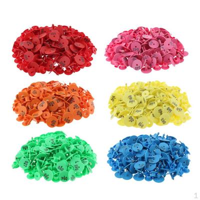 Decorazioni e accessori per feste – Accessori per feste e party