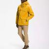 The North Face Down Jacket Men's Yellow NF0A5A7H-0ZH