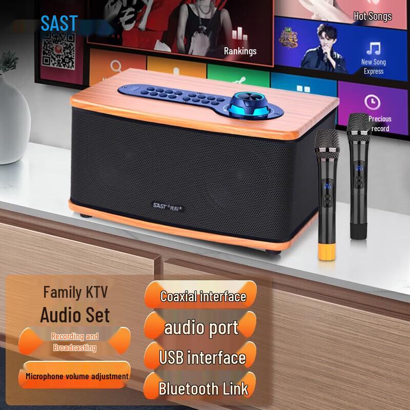 

SAST SW-10 Home KTV Karaoke Audio System