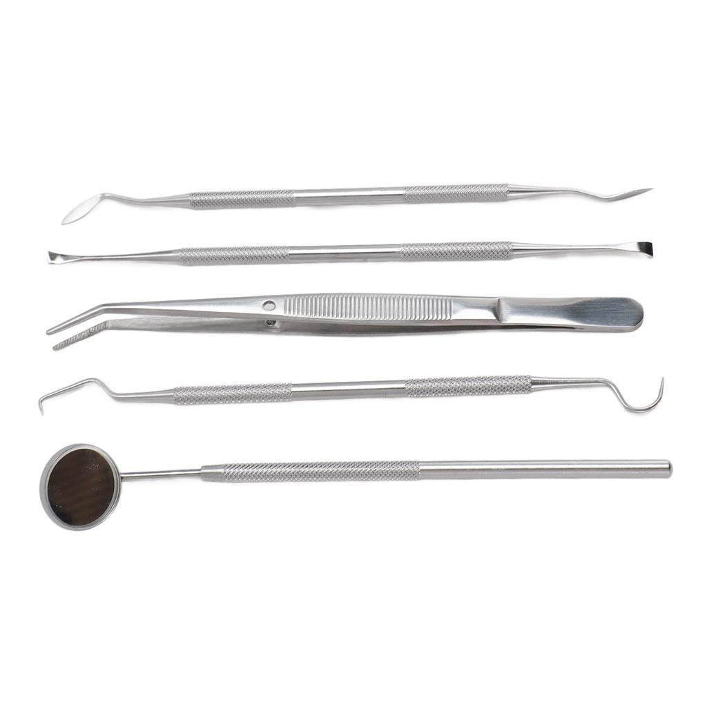 5pcs Dental Tools Pick Hygiene Set Plaque Remover Stainless Steel Tooth Scraper Teeth Cleaning