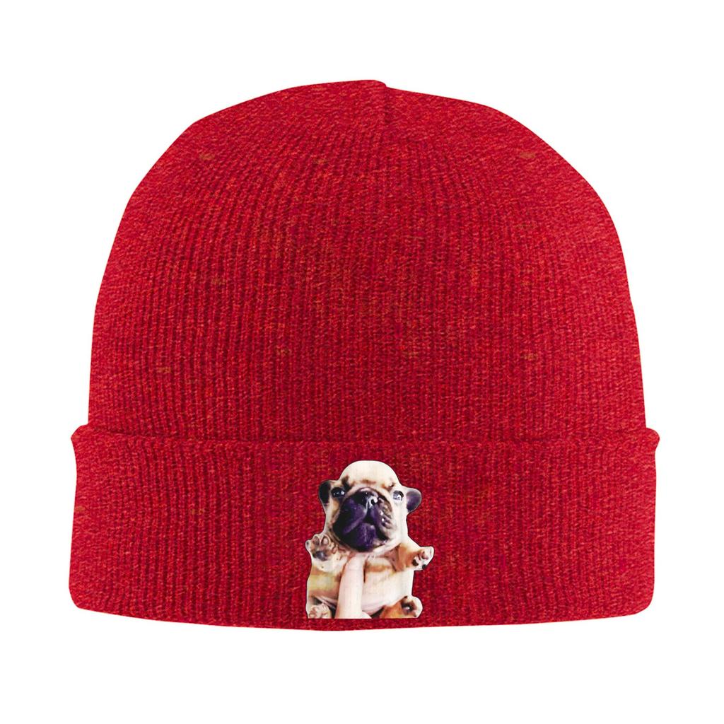 Unisex Pibble Meme Funny Dog Brainrot Wash My Belly Meme Beanie Hats  Casual Knit Hat Autumn Kpop Caps Design Warm Bonnet Hats