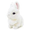 Sun Lemon Lapinu Dwarf Hotto Plush Animal Rabbit P-4562, 14.9 x 9 x 17.3 cm