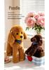 Lying Poodle Plush Toy - Dog Doll Birthday Gift