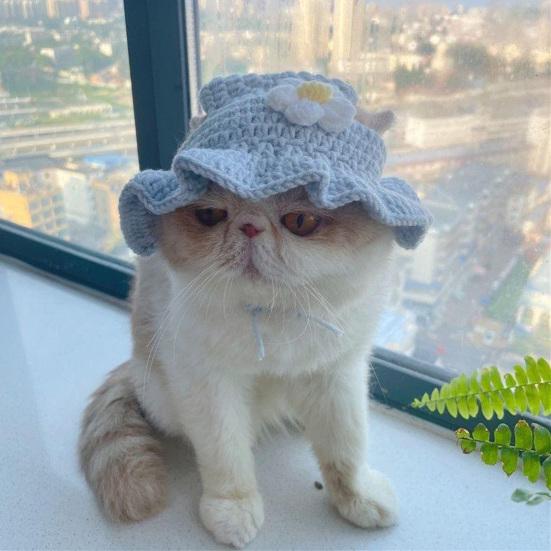 Cat Hat Pets Knitted Cosplay Hat Halloween Christmas Party Costume Headwear Dress-up Accessories for Puppy Cat Kitten