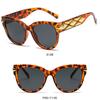 Fashionable Sunglasses Large Frame Cat Eye Sunglasses Non-Polarized Fashion Accessory 