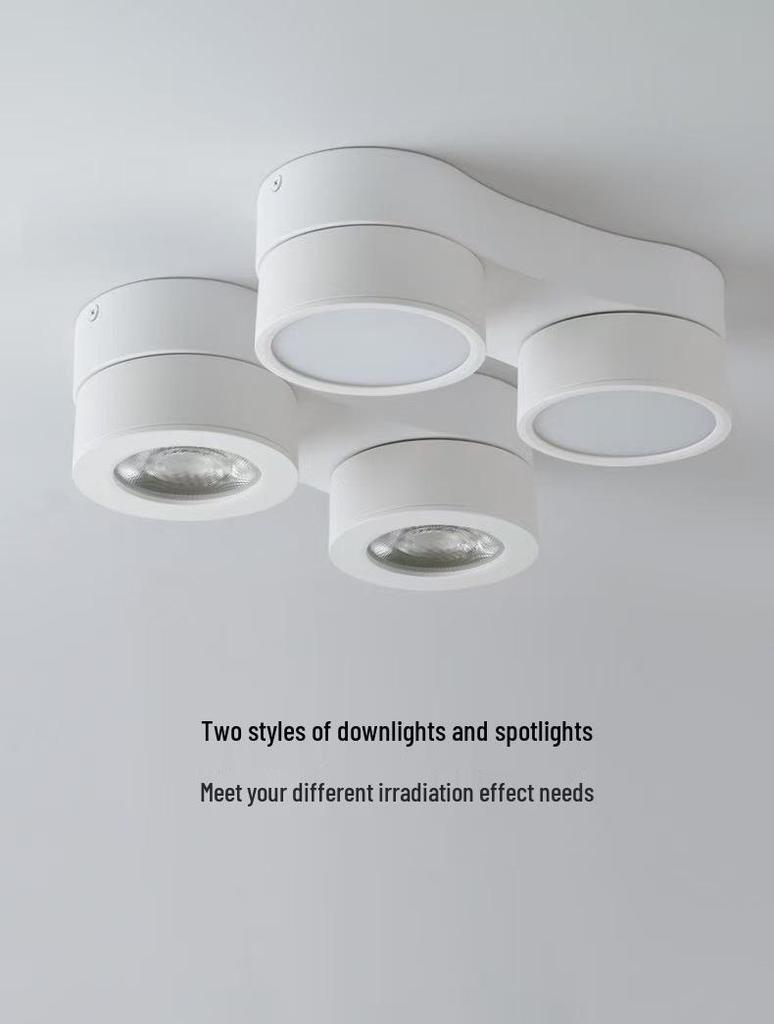 Adjustable LED Double-Head Smart Ceiling Spotlight for Living Room and Aisle