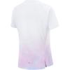 Li Ning Running Series Sports Casual Simple Gradient Round Neck Pullover Short Sleeve T-Shirt Women T-Shirts ATSV530-2