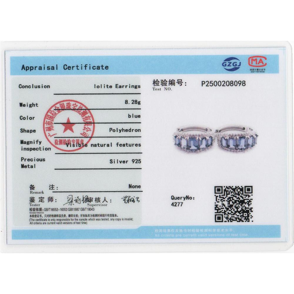 925 sterling silver women's clasp earrings natural octagonal iolite real gemstones Classic design fine jewelry for birthday wear