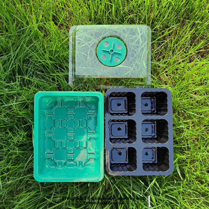 Gardening Seedling Tray Set: 6-Hole & 12-Hole Trays with Air Vents and Switchable Lids - 3 Pieces