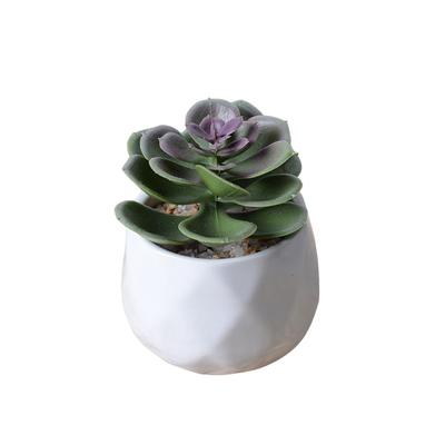 Künstliche Sukkulenten Pflanzen Simulation Bonsai Blume Mit Topf Topflandschaft für Home Party Tisch Ornamente