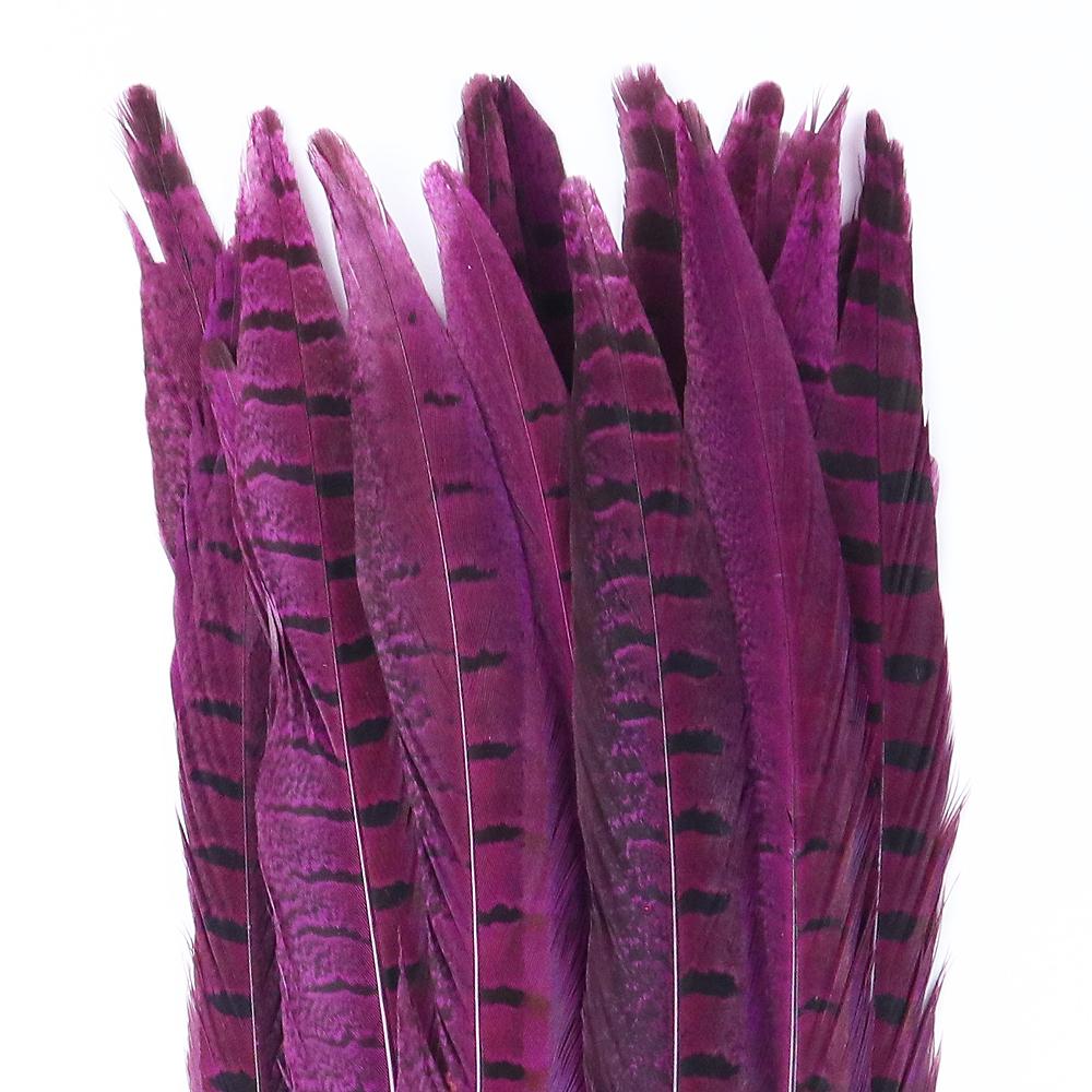 10pcs Multicolor Chicken Feathers Natural Pheasant Tail Feathers 25-30 Cm for Party Clothing Jewelry Making Plume Decoration