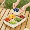 Outdoor Picnic Compartmentalised Food Grade Fruit Container Portable Convenient Crisper Kitchen Fridge Organiser