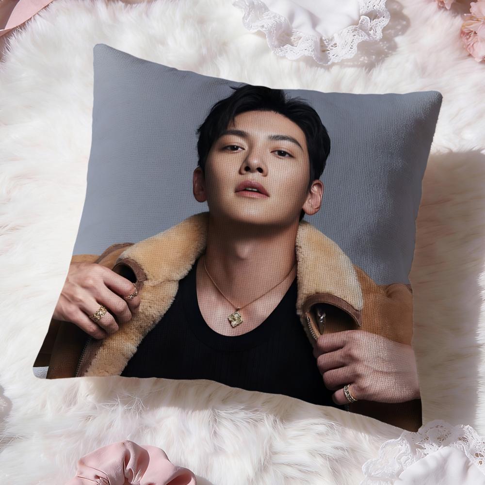 Ji Chang W-Wook Kpop Cushion Cover Premium Comfort Reversible Pillow Cove -Two in One Design for Any Room & Car Interior