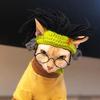Knitted Cat Outfit,Funny Punk Style Cat Hat, Adjustable Cool Clothes for Cats Puppy,Green Costume for Birthday,Party,Holiday