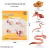 Mini Animal Growth Cycle Toys: Butterfly, Rooster, Ant, Frog, Sea Turtle, Dragonfly