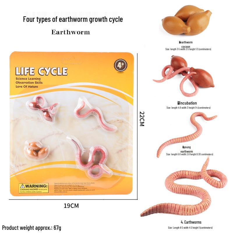 Mini Animal Growth Cycle Toys: Butterfly, Rooster, Ant, Frog, Sea Turtle, Dragonfly