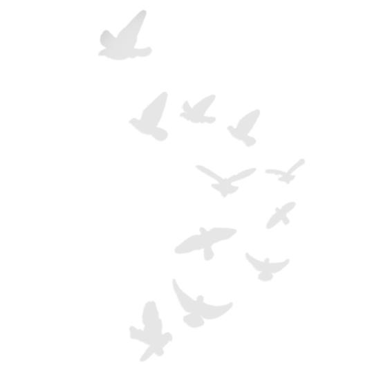 

11 шт./компл. настенная наклейка широкого применения, удобная акриловая птица, яркая 3D серебряный