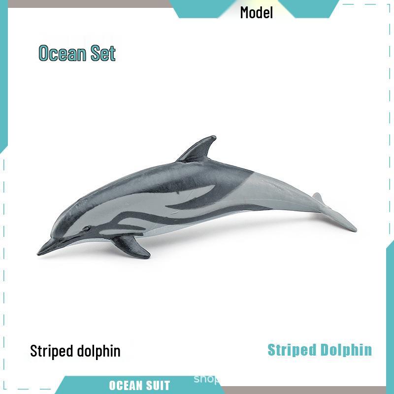 Children's Marine Animal Model Set: Mini Whale, Shark, Dolphin, Turtle, Sea Lion