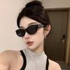 Fashion Cat Eye Sunglasses Summer Vintage Oval Frame Sunglasses Outdoor Travel Street Style Elliptic Square Eyewear Women Men