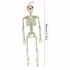 With Sound Halloween Movable Skeleton 40cm Simulated Human Skeleton  Haunted House