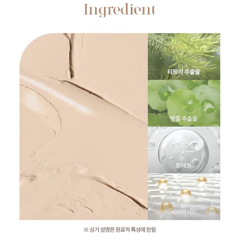 [Dasique] Pro Concealer Palette 2 Options/9 Colors