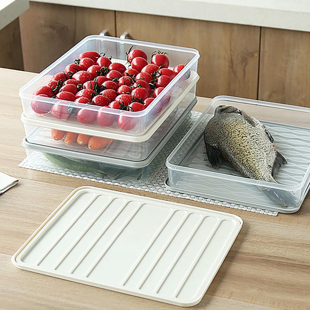Dumpling Storage Box Dumpling Sealed Containers Fridge Dumpling Box Plastic Sealed Rectangular with Lid Dumpling Holder for Home