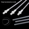 Hundeklinik Werkzeuge Samenleiter Katheterstab Künstliche Befruchtung Röhrchen Hodenkanälchen Ausrüstung