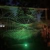 Stretchy Halloween Spider Web Giant Halloween Plush Cobweb Durable   Ghost Festival