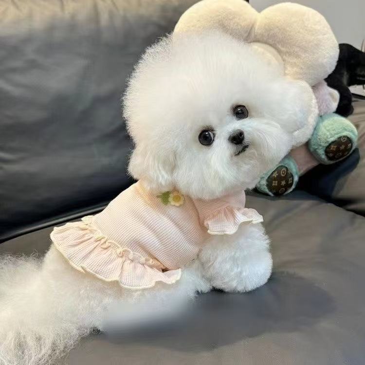 Dog clothes spring summer autumn new waffle small flower flying sleeve skirt pet cat cuter than bear teddy
