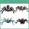 Spider Model Set With Plastic Material For Home Decor And Gift For Nature Lovers