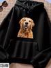 Hoodie Dog Labrador Retriever