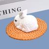 Rabbit Silicone Mold for Air Freshener, Plaster Diffuser, or Cake Decoration