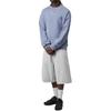 Carhartt WIP SS26 Nelson Sweatshirt Thick Loose Casual Long Sleeve Unisex Sweatshirt I029957-3HX-GD
