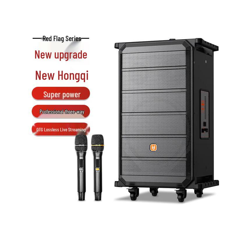 Beide BD-H1083B Professional Outdoor Karaoke Trolley Speaker