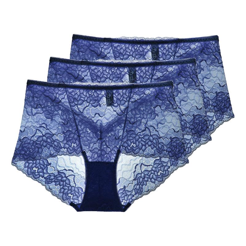 3 Pezzi Lingerie Sexy da Donna Vita Alta Slip in Pizzo Rete Trasparente Boyshorts Slip da Donna