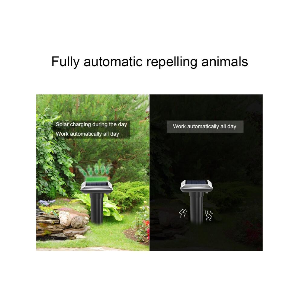 Répulsif à ultrasons solaire étanche pour rats et animaux, couleur : noir