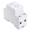 WiFi Timer Switch 2P 40A Programmable APP Control Voice Control Smart Time Switch for Home