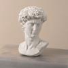 David Statue Nachbildung Griechische Büste Ornamente, Harz Skulptur für Kunststudio Dekor Und Übungswerkzeug Zeichenübung, Klassische Apollo Klavier Mädchen