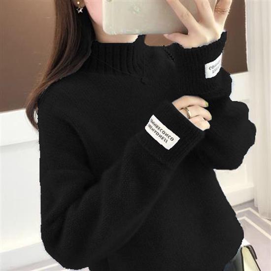 Women Sweater Casual Turtleneck Female Pullover Long Sleeve Warm Soft Autumn Winter Knitted