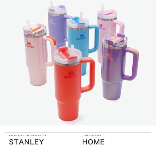 STANLEY H2.0 Vacuum Slim Quencher, 0.88L Stainless Steel Straw Tumbler, 880ml Insulated Water Bottle, Outdoor Use, 10-10829, Hydrangea