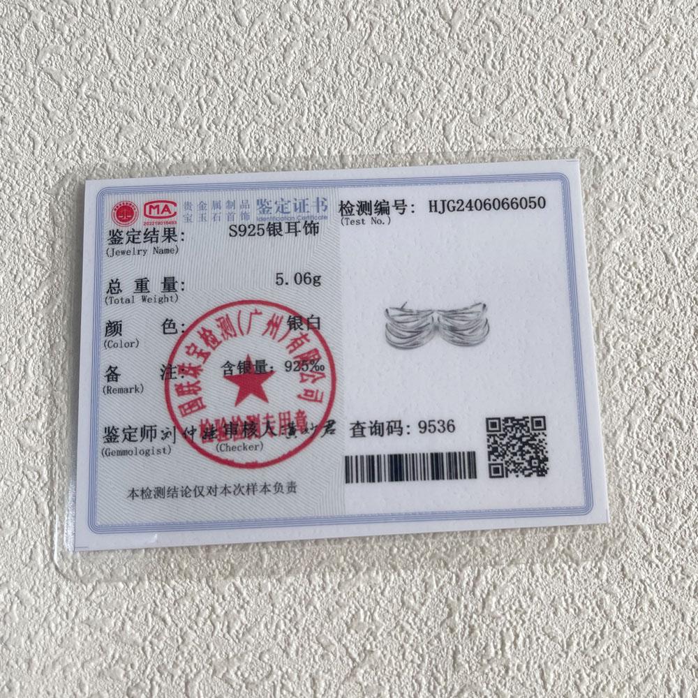 925 Silver Vintage Interware Lines Earrings For Women Trendy Earring Jewelry Prevent Allergy Party Accessories Gift