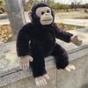 Black Chimpanzee Plush Toy - Orangutan Doll - Suitable For Hugging, Children's Birthday Gift For Boys And Girls