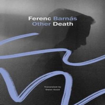 Other Death by Ferenc Barnas Hardback Book 9781803095011
