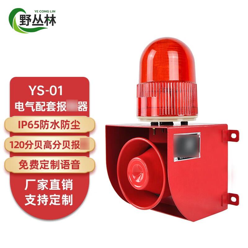 Industrial Sound and Light Alarm AC220V