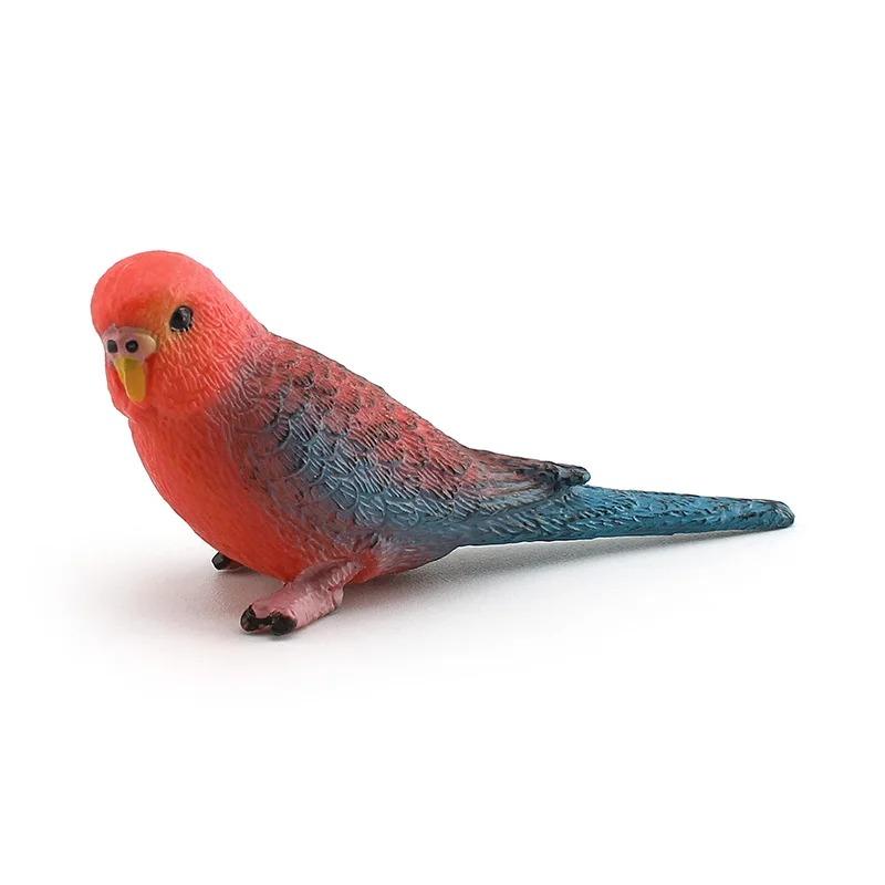Small Parrot Lifelike Birds Figurine Collection Playset Household Decoration Cake Toppers Gift For Kids Educational Toys