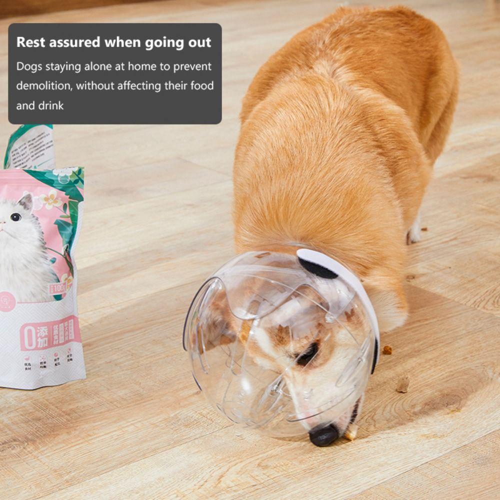 Transparent Dog Stop Barking Muzzle Anti-Bite Stop Barking Cat Dog Space Hood Pet Grooming Accessories Breathable